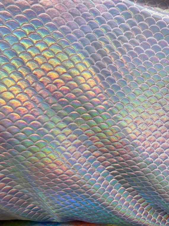  SELFAB Iridescent Sparkly Scale Mermaid Fabric Hologram Spandex  2 Way Stretchy Fabric for Skirt Tail Swimwear - 60 Wide by Yard : Arts,  Crafts & Sewing