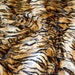 Siberian Tiger Velboa Faux Fur Fabric By The Yard – 58" Wide, Gold Animal Print For Upholstery & Crafts