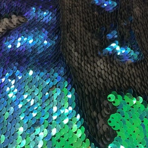 May include: Close-up of iridescent green and blue sequins on a black fabric. The sequins are arranged in a scale-like pattern.