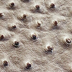 May include: Close-up of a textured, light brown surface with a pattern of raised, rounded bumps. The bumps are evenly spaced and have a darker, textured center, creating a tactile and visually interesting design. The material appears to be leather.