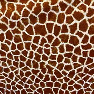 Giraffe 4 way stretch spandex fabric,SOLD BY YARD 60 inches wide