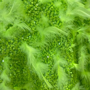 May include: A close-up of a green fabric covered in lime green sequins and feathers.