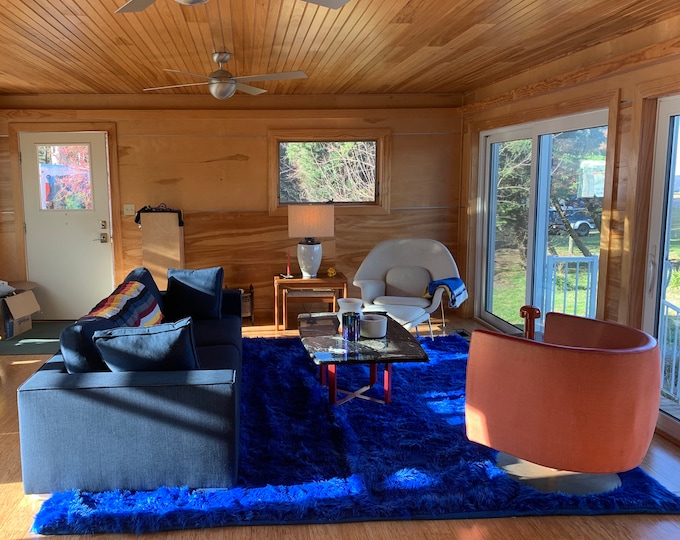 10' x 10' New Premium Royal Shag Faux Fur Area Rug Room Decor Home Accents shaggy Contemporary Modern Shag Carpet Throw Rug