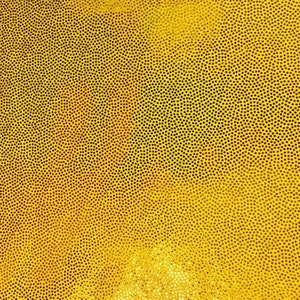 4-Way Stretch yellow Mystique Spandex  Fabric by the yard 60 &quot; Wide