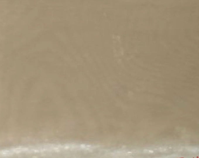 Champagne crystal Organza sheer fabric polyester 58" wide