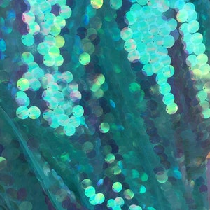 May include: Teal iridescent sequins on a sheer mesh fabric. The sequins are round and have a holographic finish.