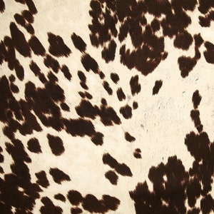 May include: Close-up of a brown and white cowhide with a natural, textured surface. The hide has a pattern of irregular brown spots on a white background.