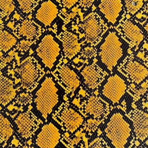 May include: A close-up of a yellow and black snakeskin pattern. The pattern is made up of small, overlapping scales.