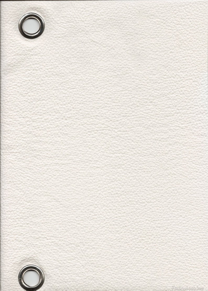 Vinyl 54 Wide Champion white upholstery Leather fabric per yard ROLLED