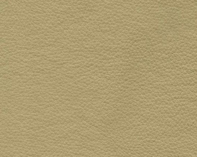 Vinyl Dark Taupe Champion Pebble Grains Fabric 54" Wide Sold BTY