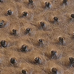 Ostrich /faux vinyl Marine grade/ UV resistance waterproof Fabric-Brown