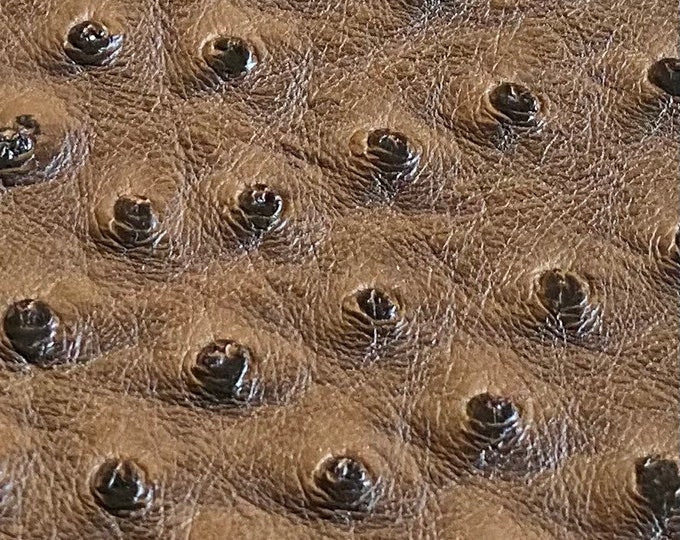 Ostrich /faux vinyl Marine grade/ UV resistance waterproof Fabric-Brown