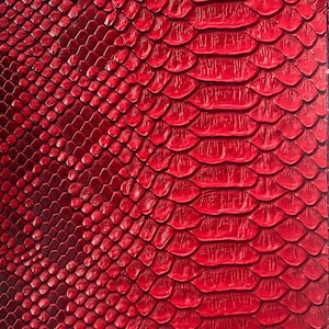 May include: Close-up of a vibrant red snakeskin pattern. The scales are detailed and textured, creating a realistic reptile skin appearance. The color is a deep, rich red, with variations in tone.
