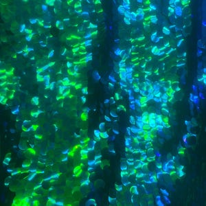 May include: Close-up of iridescent green and blue sequins arranged in a pattern. The sequins are sewn onto a black fabric.