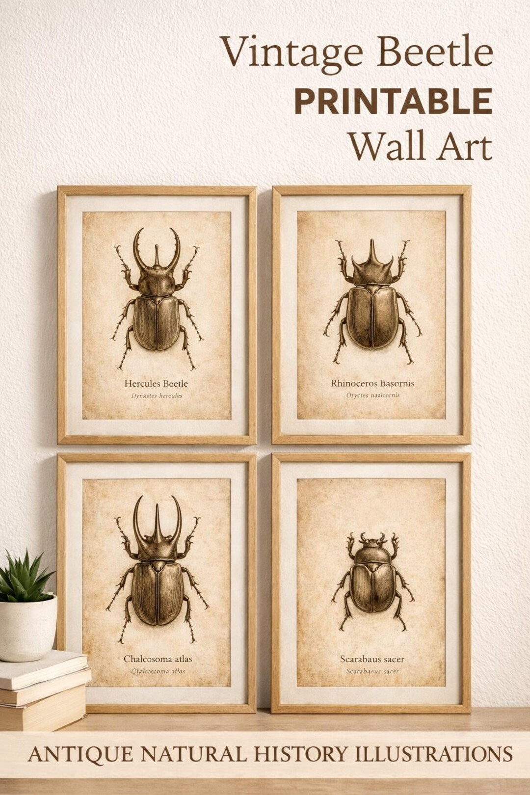 Vintage Beetle Print Set | Antique Natural History Wall Art (digital ...