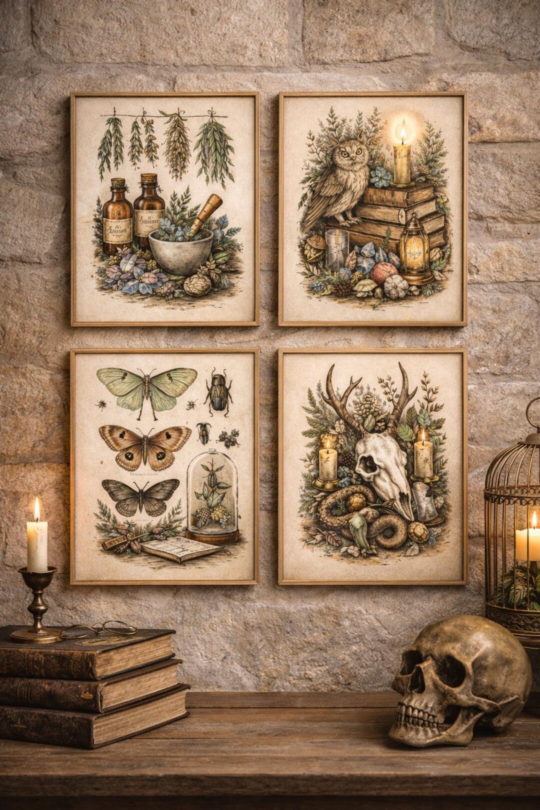Botanical Entomology Print Set | Vintage Dark Academia Wall Art ...