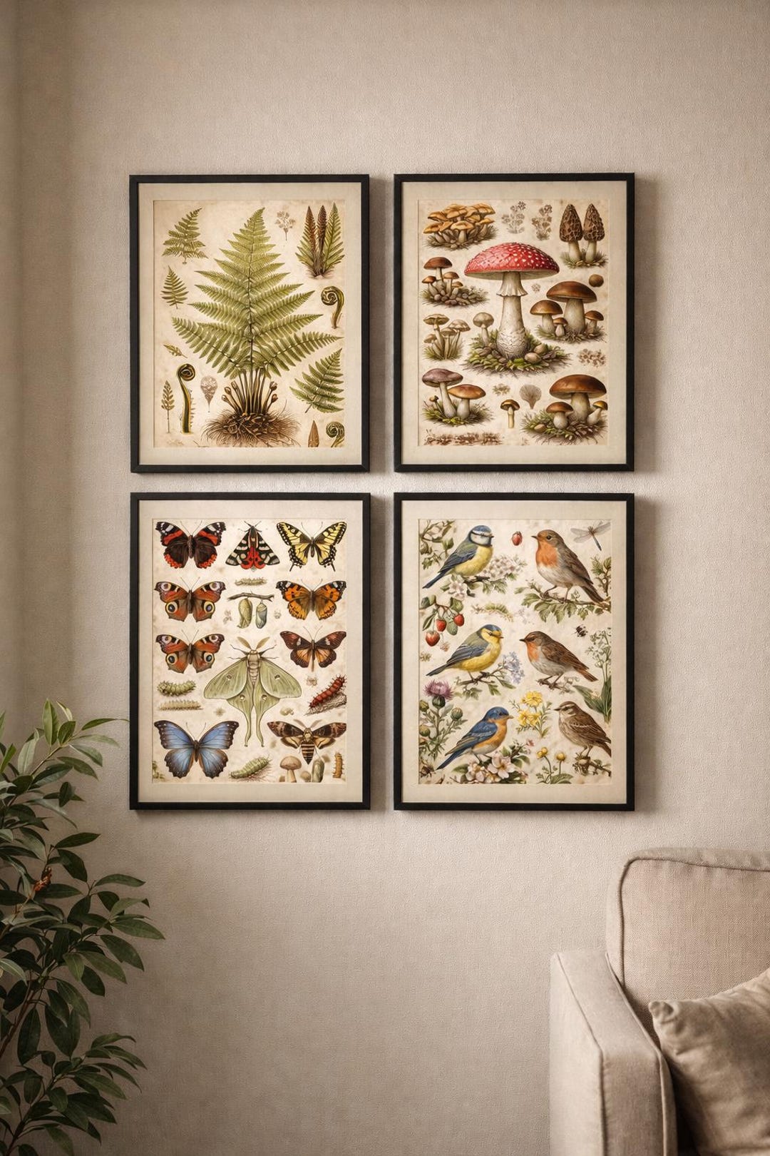 Vintage Natural History Print Set | Botanical, Bird, Insect ...