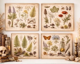 Botanical Print Set | Vintage Herbarium Illustration, Dark Academia (Digital Download)