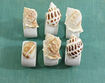 Shell Napkin Rings (6), Natural Shells on White Porcelain, Beach Decor, Made in Taiwan