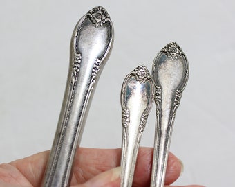 Vintage 1847 Rogers Remembrance Silverplate Child's Flatware Set