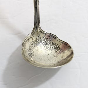 May include: A silver ladle with an ornate, floral design. The ladle has a long handle and a wide, rounded bowl.