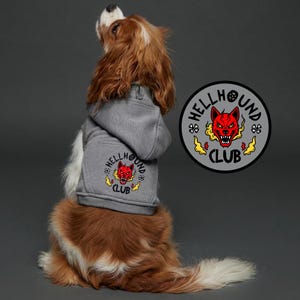 May include: A Cavalier King Charles Spaniel wearing a gray hoodie with the text "HELLHOUND CLUB" and a red devil dog graphic. A matching patch is next to the dog. The dog is looking up.