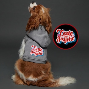 May include: A Cavalier King Charles Spaniel wearing a gray hoodie with the text "Cute but Psycho" in a red, white, and blue design. The dog is looking up, with its brown and white fur visible.