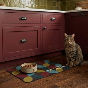 May include: A brown tabby cat sits near a colorful pet food mat with the name "VEGA" in white. A ceramic bowl filled with pet food sits on the mat. The mat has a pattern of overlapping circles in teal, yellow, and burgundy.