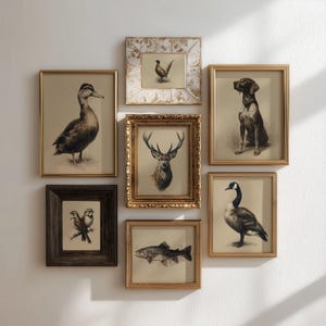 May include: A collection of framed vintage-style animal prints. The artwork includes a duck, pheasant, deer, dog, birds, fish, and a goose. The frames are in various styles, including gold and dark wood, creating a gallery wall aesthetic.