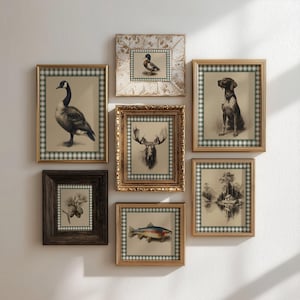 Può includere: Una collezione di stampe artistiche incorniciate con scene di fauna selvatica e natura. Le stampe includono un'oca, un'anatra, un alce, un cane, un pesce e un paesaggio, il tutto in cornici ornate con bordi a scacchi verdi e bianchi. Le cornici variano per colore e stile.