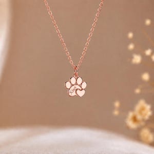 Peut inclure: Un collier couleur or rose composé d'une fine chaîne et d'un petit pendentif en forme d'empreinte de patte. Le charm en forme de patte présente un détail en forme de cœur et le nom Kiwi gravé sur la surface métallique, suspendu à une fine chaîne.