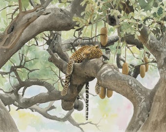 Aquarel wilde dierenprint slapende luipaard