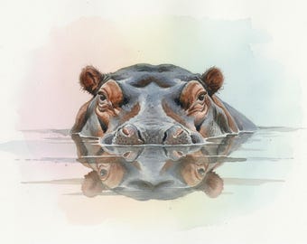 Hippo Reflection – Watercolour Style Wildlife Art Print