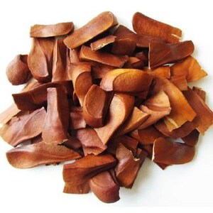 Peut inclure: Un tas d'objets bruns en forme de graines, lisses et incurvés. Les objets varient en taille et présentent un dégradé de couleurs allant du brun clair au brun foncé. Le fond est blanc uni, mettant en valeur les tons naturels des graines.