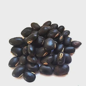 8 örter Combo Pack, Safed Musli, Shatavari, Kaunch Beej bild 12