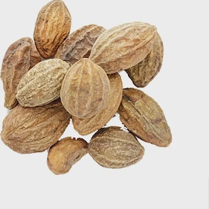 May include: A pile of brown, oval-shaped dried fruits with textured surfaces. The fruits have a wrinkled appearance and vary slightly in color, ranging from light tan to darker brown. The image is set against a plain white background.
