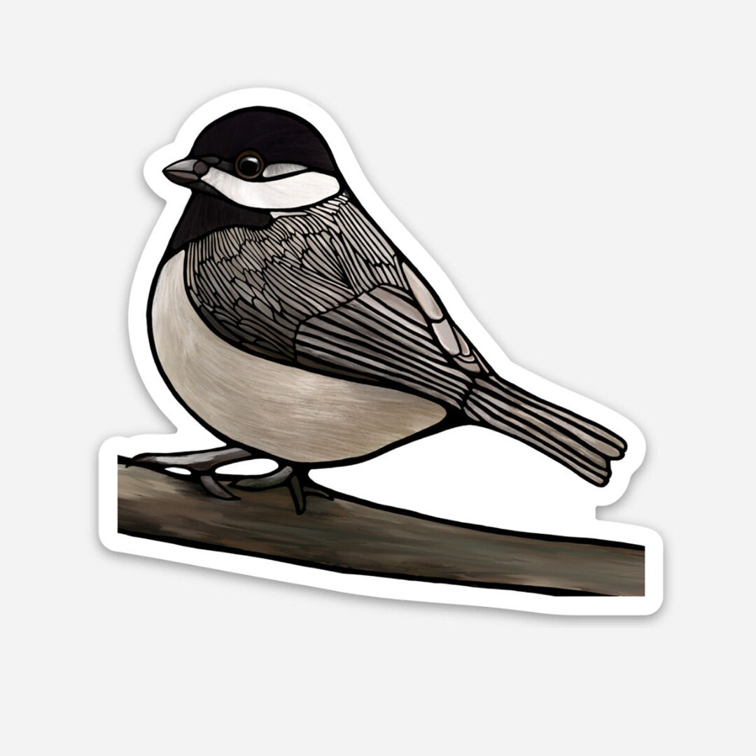 Vinyl Sticker - Chickadee - Etsy