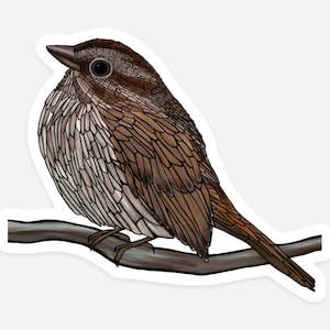 Autocollant en vinyle - Moineau chanteur