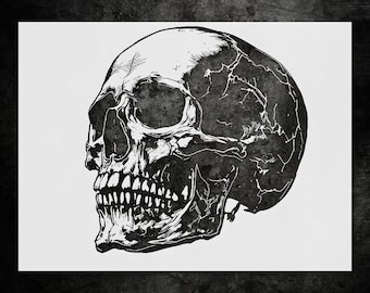 Wall Stencil: Human Skull Design - Reusable for DIY Art
