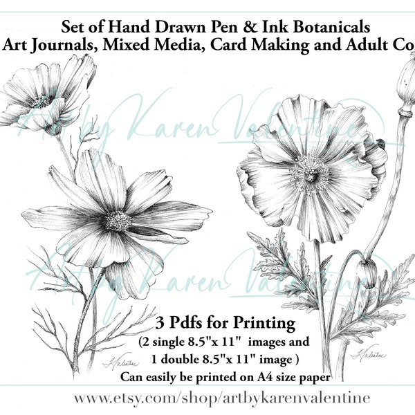 Hand Drawn, Ink drawing of Poppy and Cosmos flower for Adult Coloring,  Mixed Media, Collage, Digital Stamp, Black and White Drawing