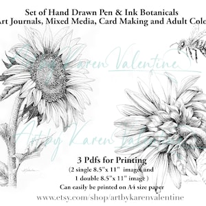 Hand Drawn,  Ink Drawing of 2 different Sunflowers for Mixed Media, Collage, or Adult Coloring, digital stamp, black white, botanical art