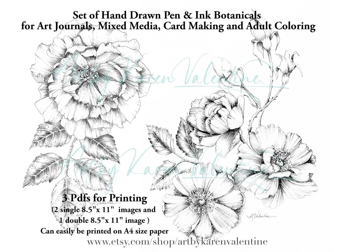 Pair of Hand Drawn Roses, Pen and Ink, Digital Stamp for Adult Coloring ...