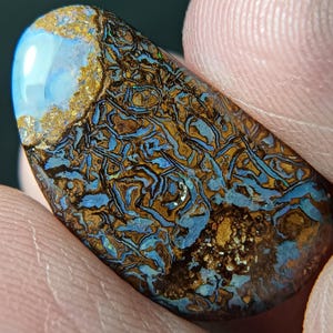 Könnte beinhalten: Ein polierter Boulder-Opal-Edelstein mit einer dunkelbraunen Eisensteinmatrix und komplizierten, verzweigten Adern in schillerndem Blau und Gold. Der Stein hat eine glatte, abgerundete Oberfläche mit einem hochglänzenden Finish, das Licht reflektiert.