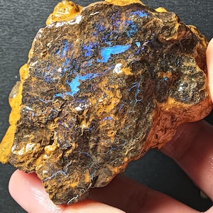 Puede incluir: Un espécimen de ópalo natural en bruto con una mezcla de colores. La piedra presenta una matriz marrón oscuro con destellos azules y turquesas vibrantes. Los bordes exteriores tienen un tono marrón dorado, creando un contraste llamativo. El ópalo se sostiene en una mano.