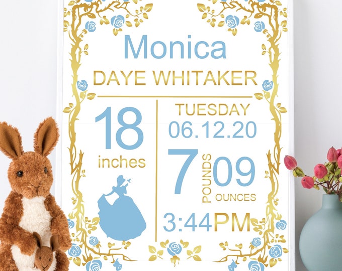 Personalized Cinderella Princess Birth Stats Print Baby Girl Nursery Princess Room Art Princess Wall Art baby keepsake  Item# BS-095