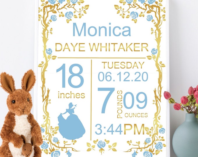 DIGITAL Cinderella Birth Stats Wall Art Birth Announcement Print Baby Stat Sign Personalized Baby Gift Baby Girl Nursery Decor #BS-095-d