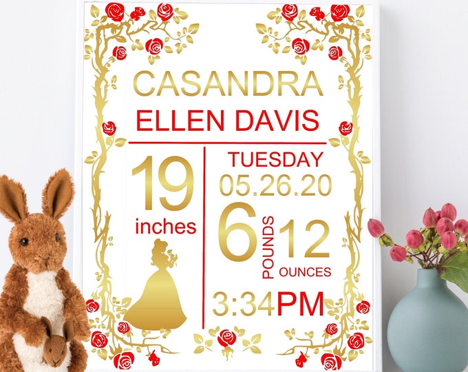 DIGITAL Belle Baby Birth Stats Wall Art Birth Announcement Print Baby Stat Sign Personalized Baby Gift Baby Girl Nursery Decor #BS-091-d