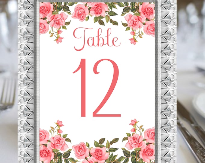 Blush Rose Table Numbers Princess #fairytalewedding #TN-048 #blushwedding