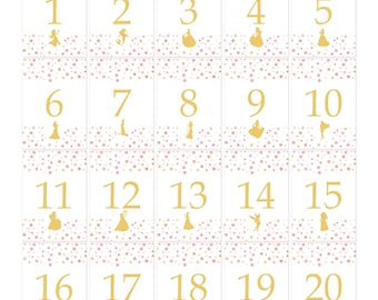 Polka Dot Pink and Gold Princess Fairytale Story Book Table Numbers