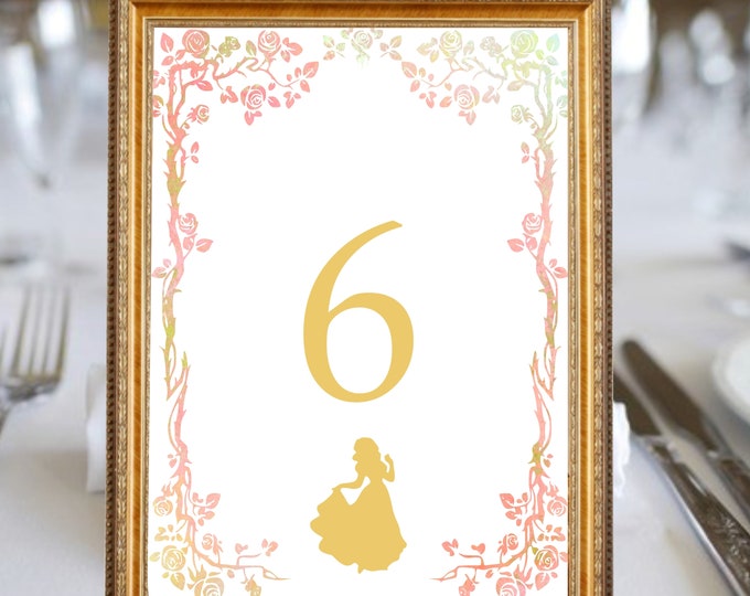 Princess Fairytale Story Book Table Numbers